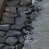 Barnegat Seawall