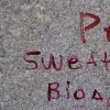 Penis Sweaty Bloody Balls
