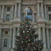 City Hall Christmas Tree