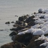 Penn Treaty Snow Covered Rocks