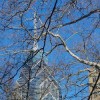 City Through The Trees