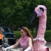 Flamingo Bicycle